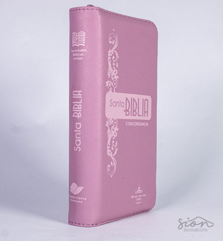 Biblia /RVR035cZTI PJR/Rosa Canto Plateado